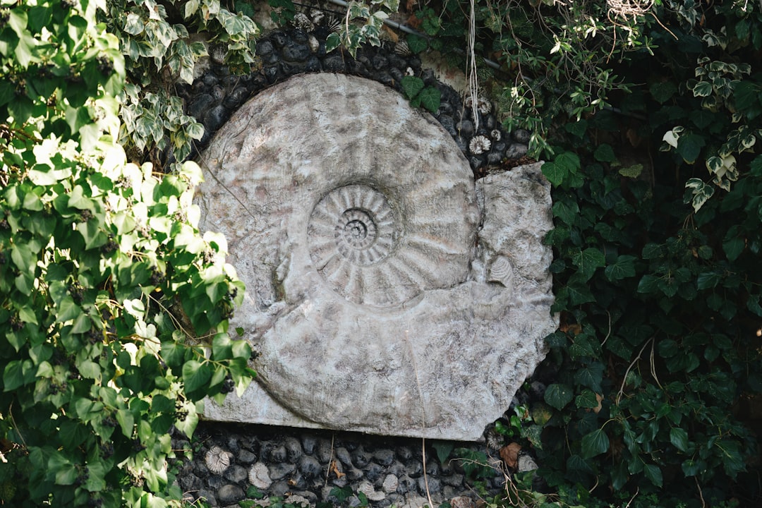 Sourcing Fossil Limestone: A B2B Specification and Material Guide