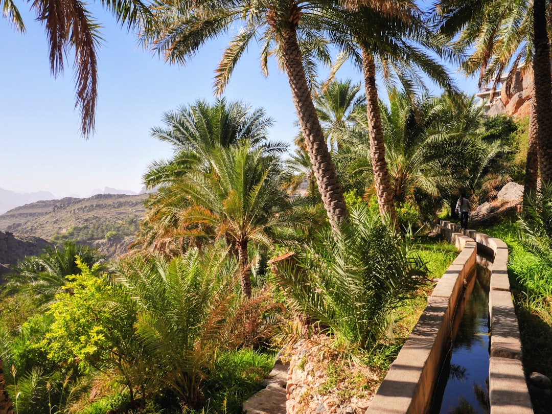Natural Stone Strategic Alliance Launches Global Environmental Product Declaration (EPD) Framework