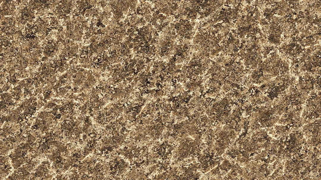 Venetian Gold Granite: Colors, Finishes, and Sourcing Guide