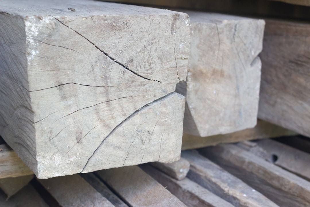 Xiamen Stone Fair 2026: Global Procurement Shifts Toward Smart Manufacturing