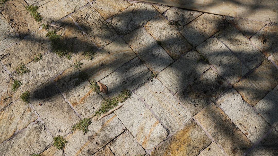 Landscaping Stone