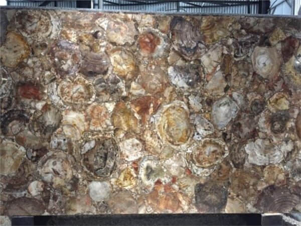 Beige Semiprecious Tile And Slab - Image 2