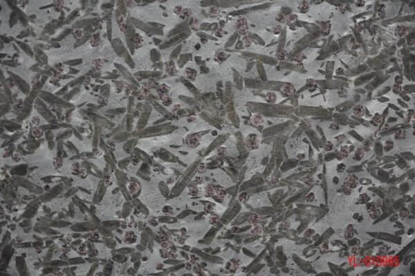 Luxury Stone Gemstone Brown - Image 3