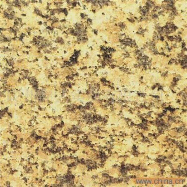 China Tiger Skin Yellow Granite - Image 3