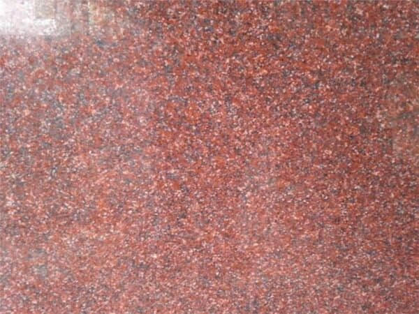 India Red Granite Slab - Image 2