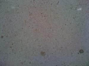 Gold Mocas Marble Polished Slabs - Image 5