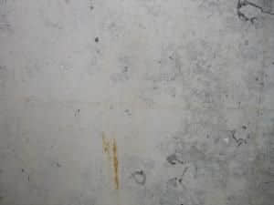 Indian White New Marble Polished Slabs